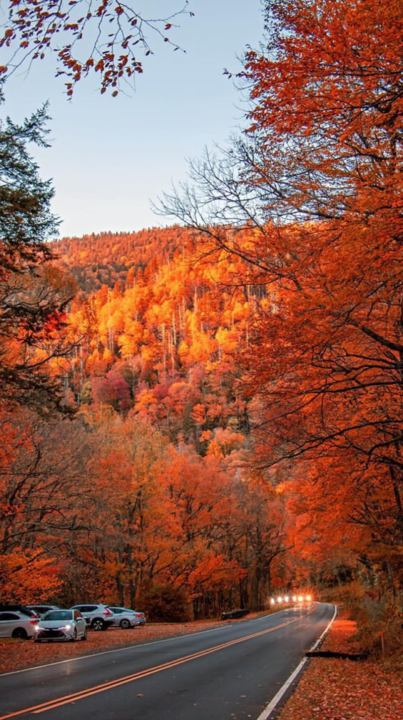 Great Smoky Mountains