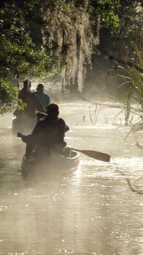 Big Cypress National Preserve