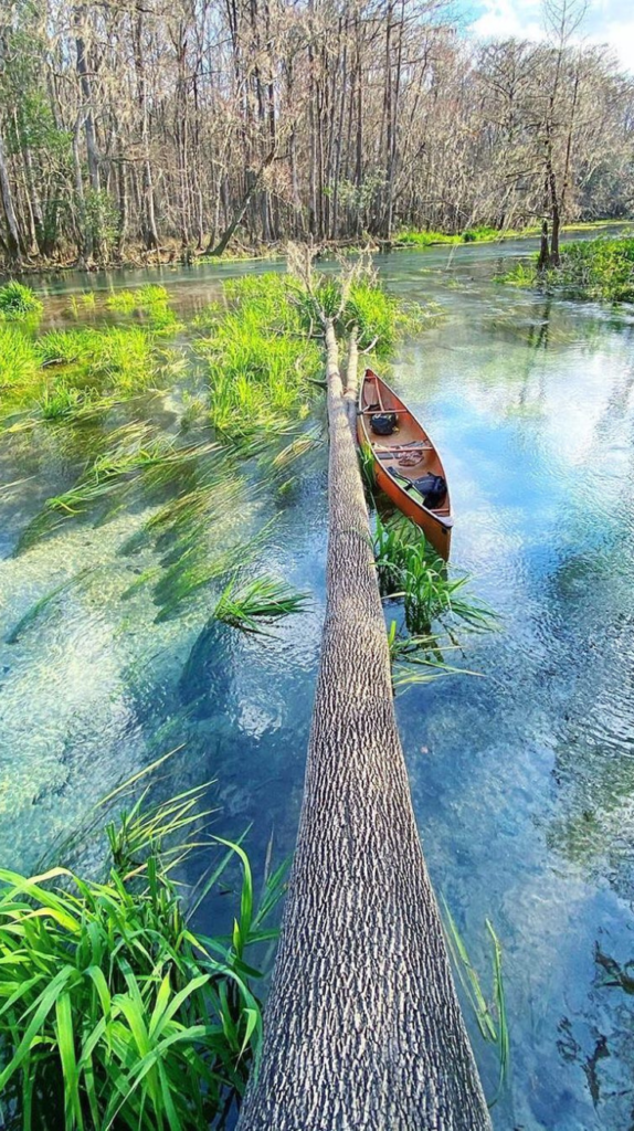 Ichetucknee Springs