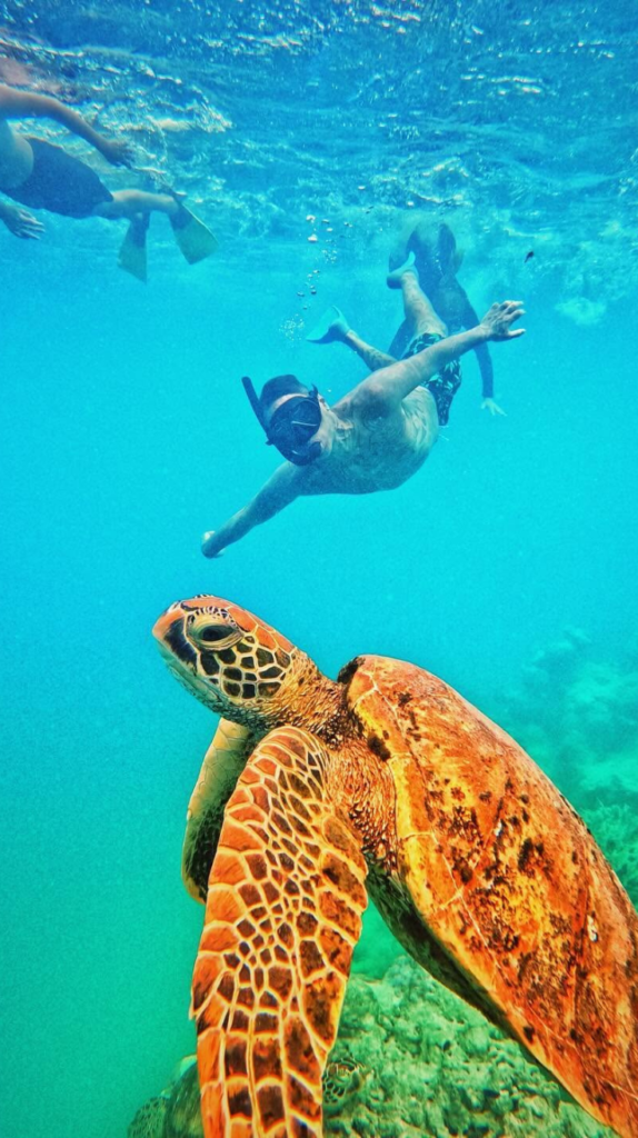 Snorkeling in Santorini