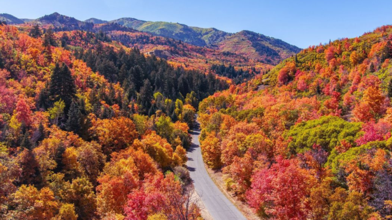 Fall Travel Destinations in the US