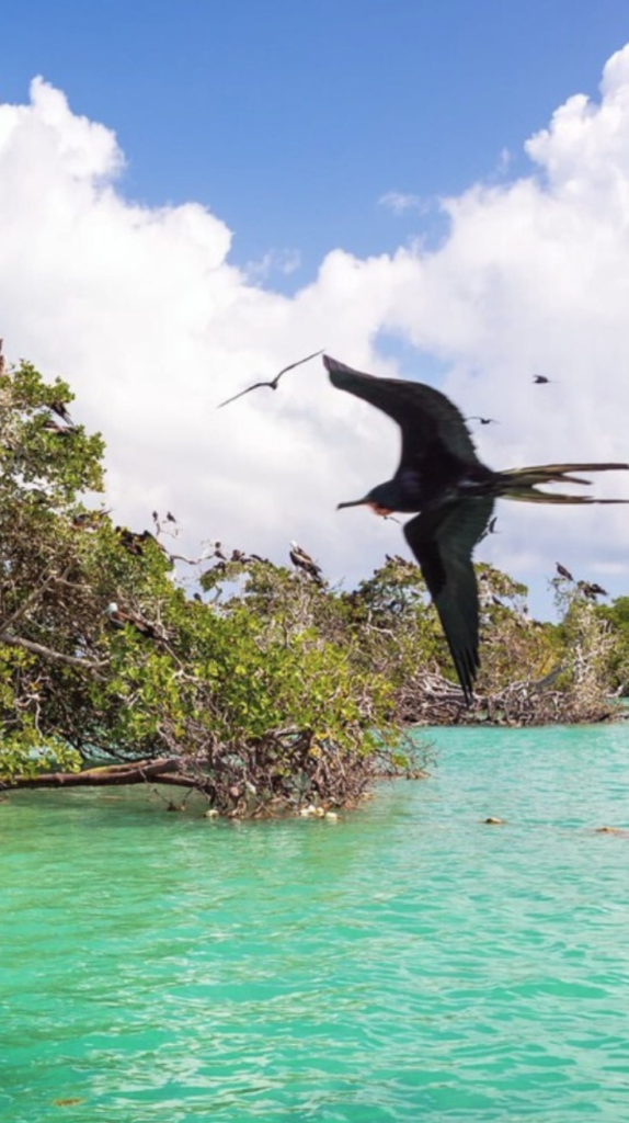 Sian Ka’an Biosphere Reserve