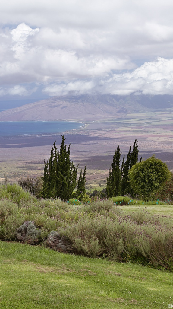 Kula Botanical Gardens